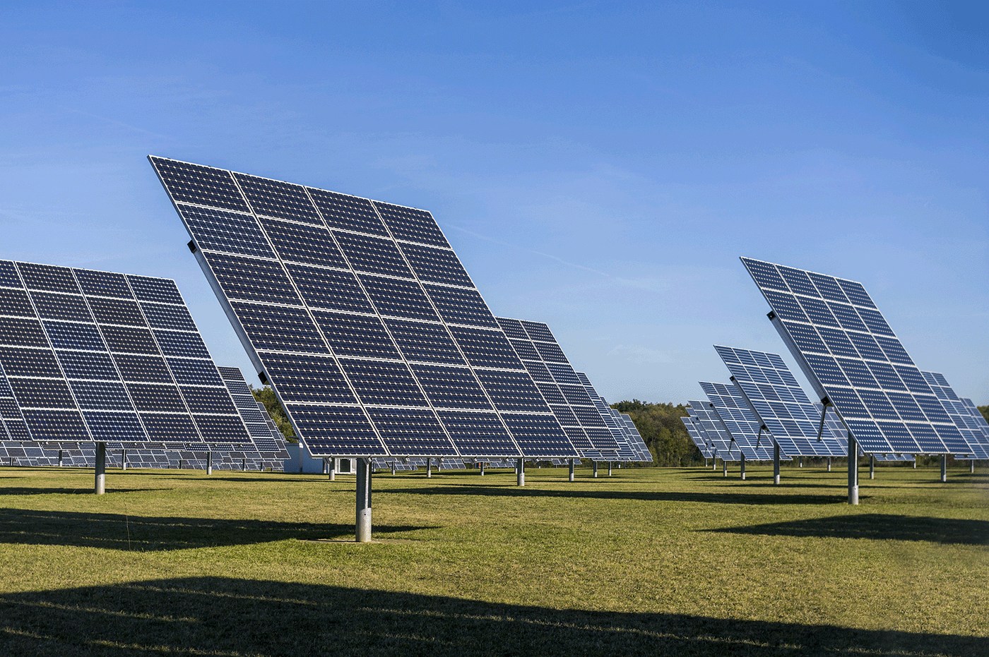 DYMAZEE's Renewable Energy Initiatives Lead to a Partnership with Global Solar Energy Firm (1)